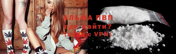 мдпв Ладушкин