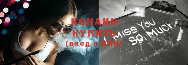 мдпв Ладушкин