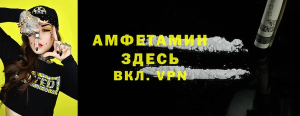 мдпв Ладушкин