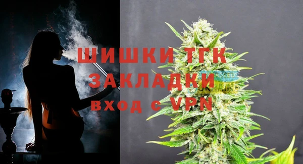мдпв Ладушкин
