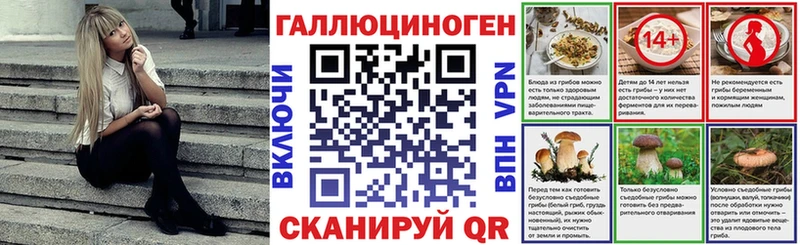 KRAKEN зеркало  Ачинск  Галлюциногенные грибы GOLDEN TEACHER 