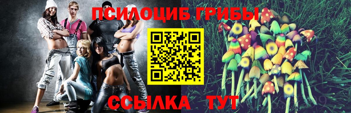 Псилоцибиновые грибы ЛСД Ачинск